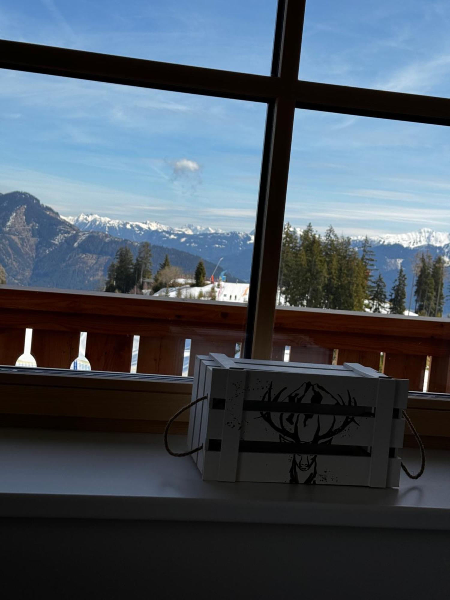 Glockneralm - Exklusiv Erreichbar Mit Skilift Zell am See Buitenkant foto